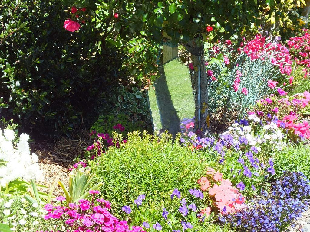 Bed and Breakfast Austin Heights - Kaikoura Esterno foto